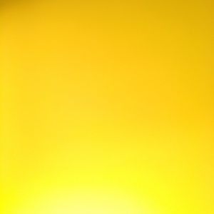 Meet your Posher, Bridget